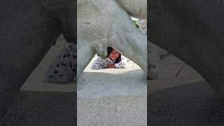 Vigeland Sculpture Park Norway Oslo shorts shortsfeed park