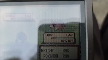 Shiny Numel On My 21st BDay!!!!! Pokemon Emerald