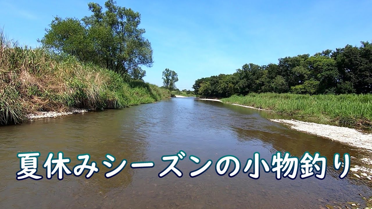 夏休みシーズンの小物釣り 坂戸市若宮橋近くの高麗川 Youtube