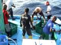 Yellowfin Tuna Fishing in Maldives