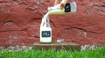 PowerDirector Android App 26 Reverse Playback Direction of a Clip