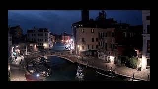 Dance Of The Seagulls Early Morning Venice