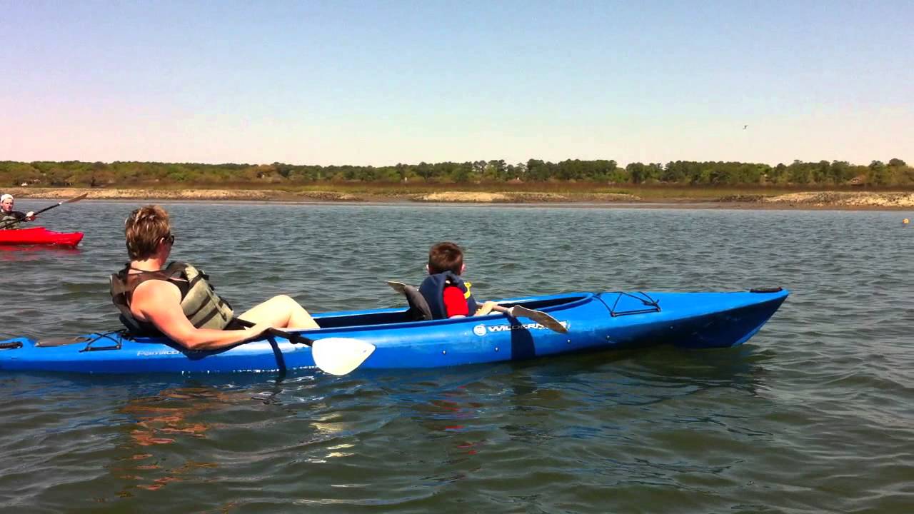 Kayaking with Dolphins on Broad Creek YouTube