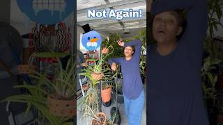 Central Florida BRACES for yet Another Cold Snap🥶❄️#backyardgardening   #zone10a #floridagardening