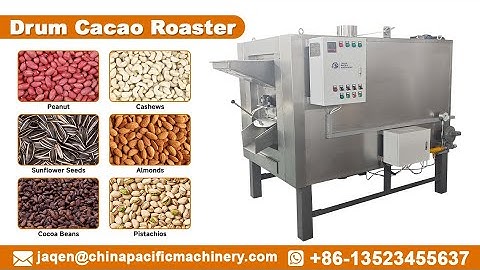 Drum Type Cocoa Bean Roasting Machine|Drum Nuts Roaster|100 KG Cocoa Roaster Machine Gas Electric