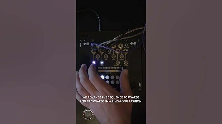The Modular Minute 231: Introducing the Catalyst Sequencer