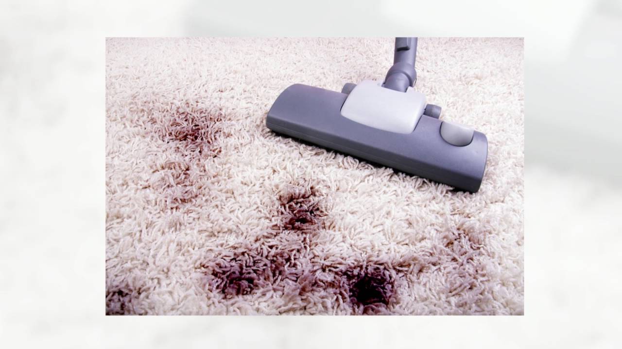 Professional Carpet Cleaning Henderson NV | Call 702-567-0016 - YouTube