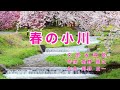 春の小川|歌詞付き|日本の歌百選|春の小川は さらさら行くよ
