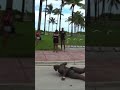 Tyreek Hill races random lady in Miami