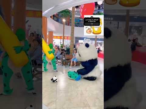 الباالياندا عملت حركه غريبه اوي    باندا اكسبلور ضحك الغوريلا فولو