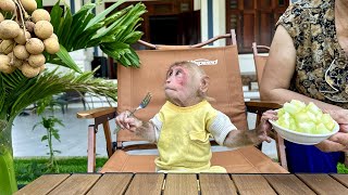 Bibi doesn't like to eat melon so he proactively harvests longans to enjoy with Grandma!