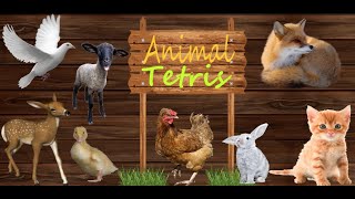 How To Play Animal Tetris screenshot 2