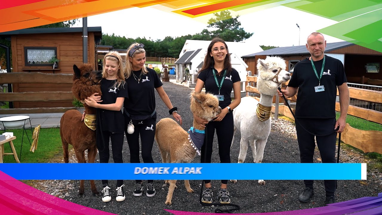 Domek Alpak