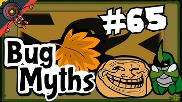 Bug Fables Myth #65: Reverse-Pierce