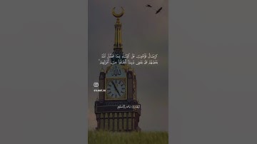القارئ ناصر السليم قناه براء حازم القران الكريم