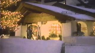 Visa Commercial 1991