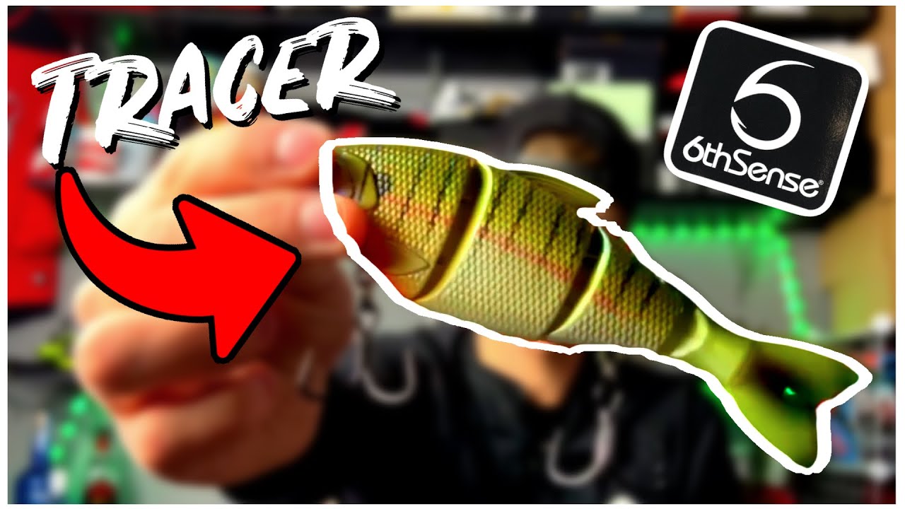 Trace 6″ Swimbait Review: Is This Lure Worth the Hype?