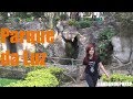 Andando por SP #26- Parque da Luz (Jardim da Luz)