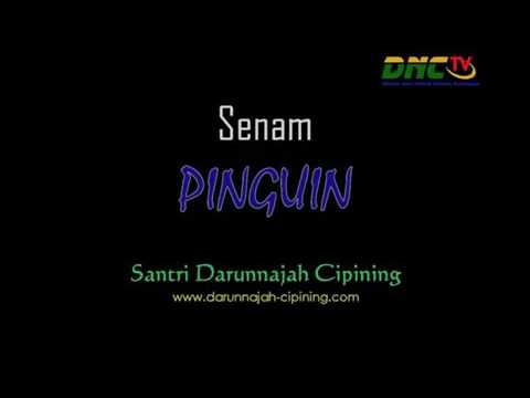 Saman pining