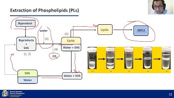 Extraction of Dairy Phospholipids using Switchable Solvents