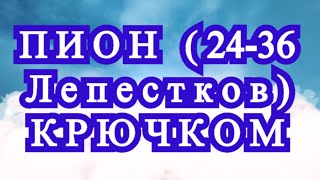 Пион крючком с 2436 лепестками  Схема по рядам