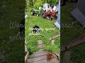 #rurallife#agriculture#agro#homestead#farming#farmer#farm#garden#daily#dailyshorts#nature#mechanic