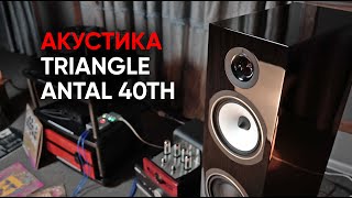 :   Triangle Antal 40th     