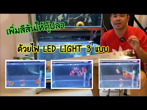 เติมสีสันให้ตู้ปลา ด้วยไฟ LED LIGHT 3 แบบ