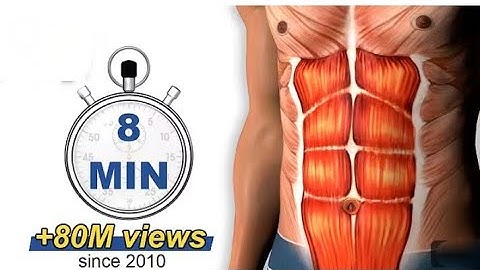8 Min Abs Workout how to have six pack exercise