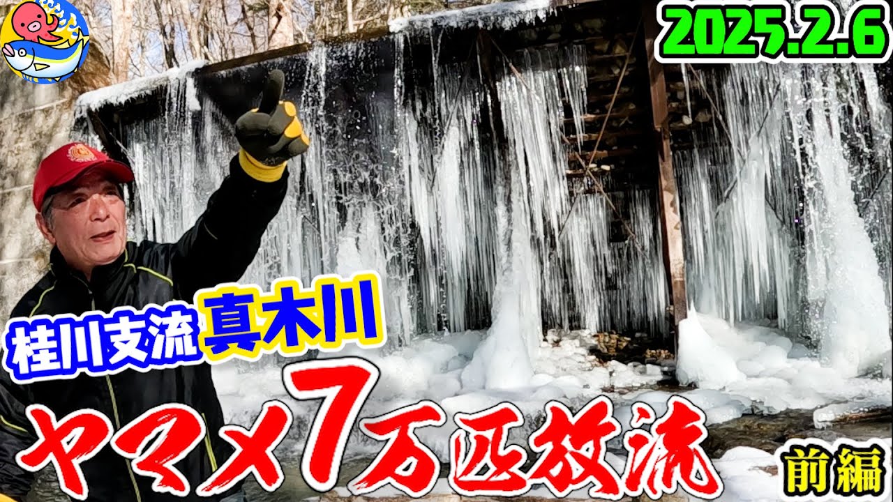 2025.2.6【ヤマメの放流場所が全て分かる前編】桂川支流”真木川”【桂川漁協・大月支部】