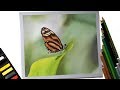 How to draw a butterfly with Pastel Pencils!