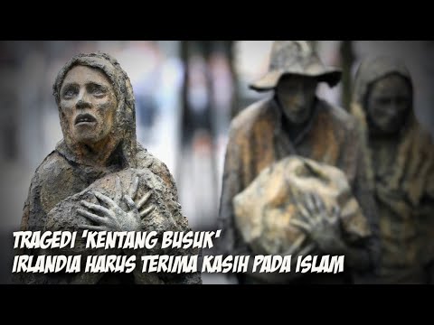 Video: Busuk Cincin Kentang