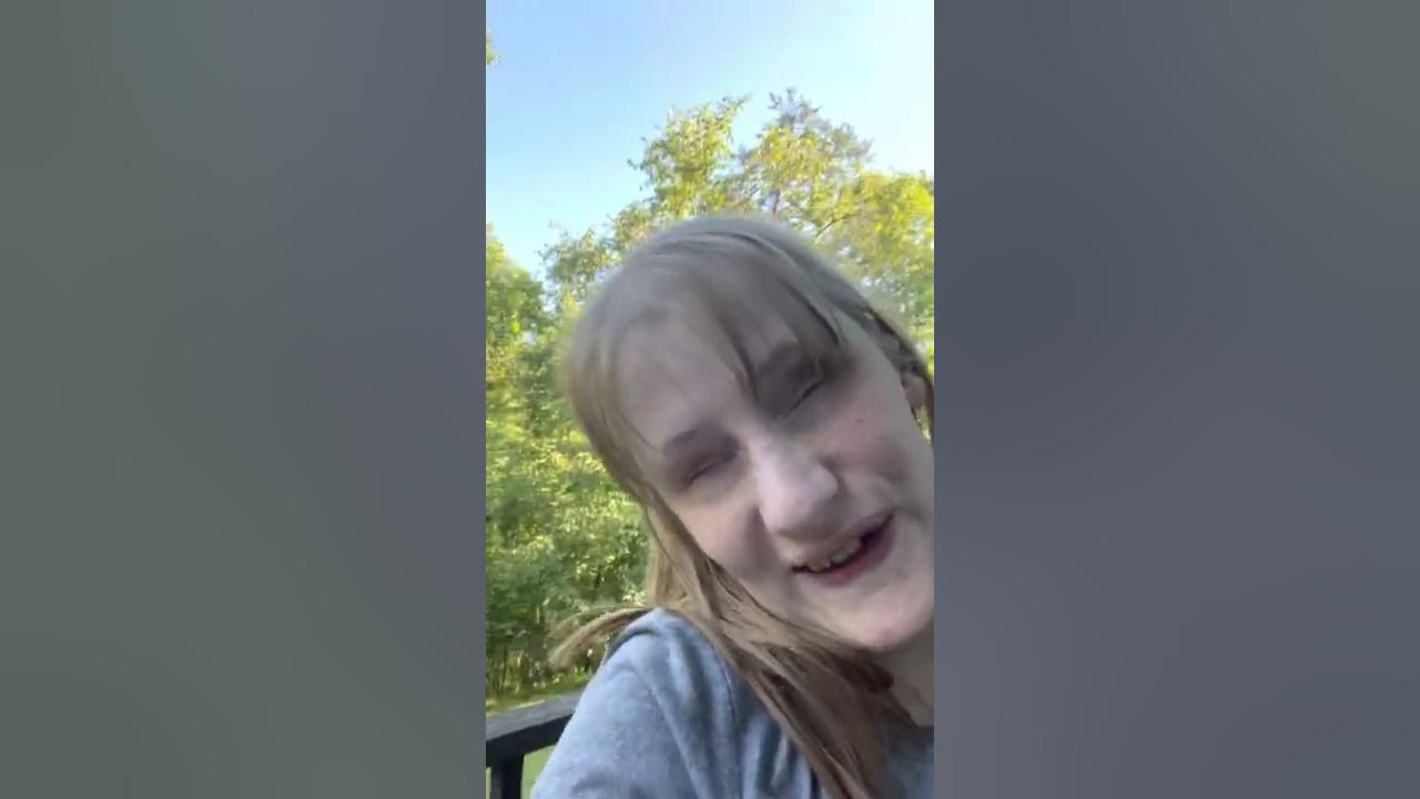 Of Sunflowers and Cats YouTube