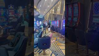 You Make My Life COMPLETE....... #casino #gambling #horseplay #slotmachine