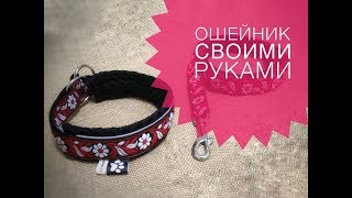 ОШЕЙНИК для собак своими руками ОШЕЙНИК для собак своими руками