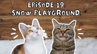 Cat Conversations with Chip & Biskit | Ep. 19: Snow Playground! by Chip The Manx 1,224 views 4 months ago 3 minutes, 18 seconds