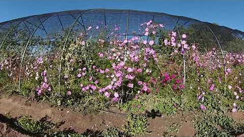 Sick drone tour of The Triangle Oasis in Salida, Colorado