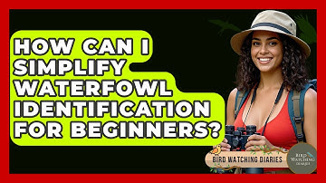 How Can I Simplify Waterfowl Identification For Beginners? - Bird Watching Diaries