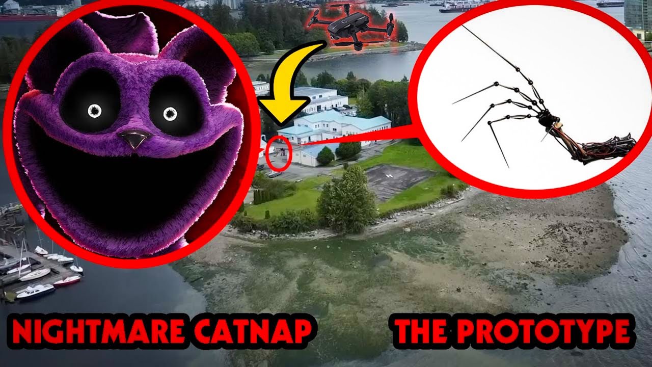 DRONE CATCHES CATNAP BOSS VS THE PROTOTYPE | POPPY PLAYTIME 3 IN REAL LIFE AT POPPY PLAYTIME ISLAND