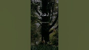 انما امره اذا اراد شيئا يقول له كن فيكون | القارىء احمد بيومي | حالات واتس اب دينية قصيرة قران كريم