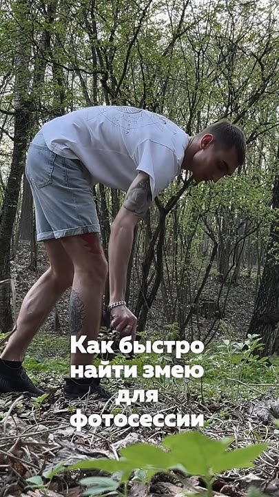 Гадюка-экспресс - YouTube