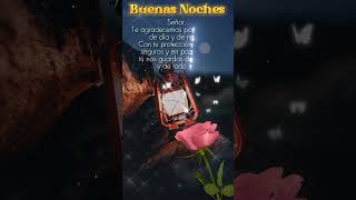 ¡Buenas noches! Feliz descanso y lindos sueños que Dios te bendiga y te proteja de todo mal