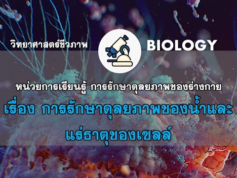 SEM1 BIO M4 09 การรักษาดุลยภาพของนำ้และแร่ธาตุของเซลล์