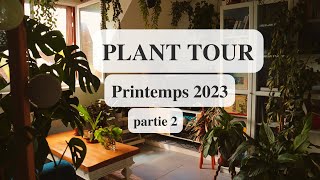 PLANT TOUR printemps 2023 🌿 mes 80 plantes dans mon 40m2 (partie 2 - le salon / la salle de bain)