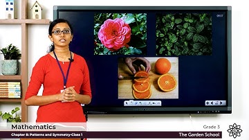 Grade 3 Mathematics Chapter 8 Class 1 Patterns and Symmetry Patterns & types of patterns