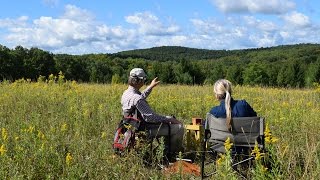 Finding Wild Honey Bees