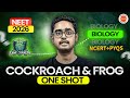 Cockroach &amp; Frog One Shot Part-2 | Complete Zoology Revision | NEET 2026 🚀 | Ajay Kumar Sir