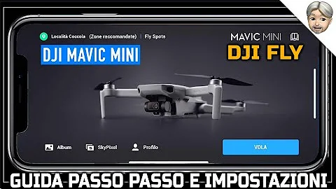 Quanto costa il Mavic Mini?