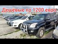 свежий завоз, дешёвые внедорожники и легковых автомобилей из ( Эстонии ) по 1200 евро