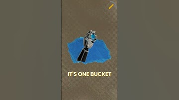 Dynamic User Memory: Personalizing Information Storage for Every User